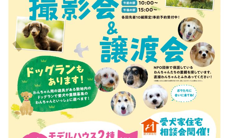 【終了しました】11/16（土）＆17（日）　わんちゃん撮影会・譲渡会開催！！