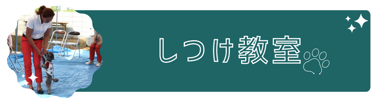 しつけ教室